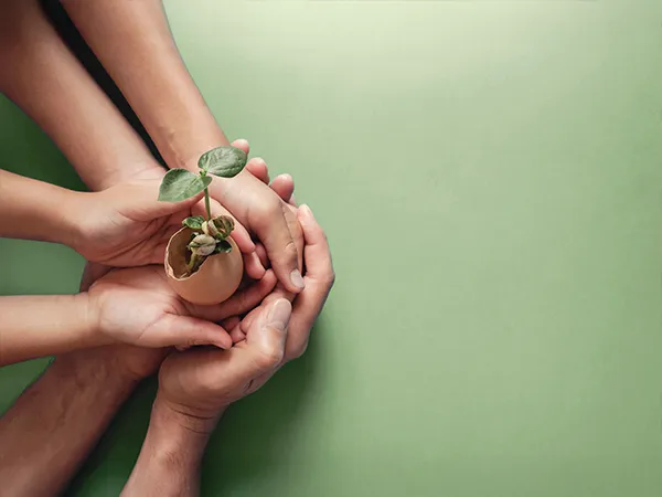 card-bewuste-catering-social-return